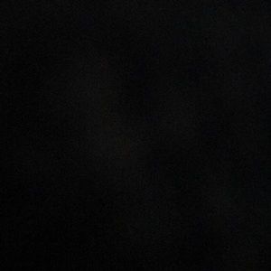 Meet your Posher, Dylan